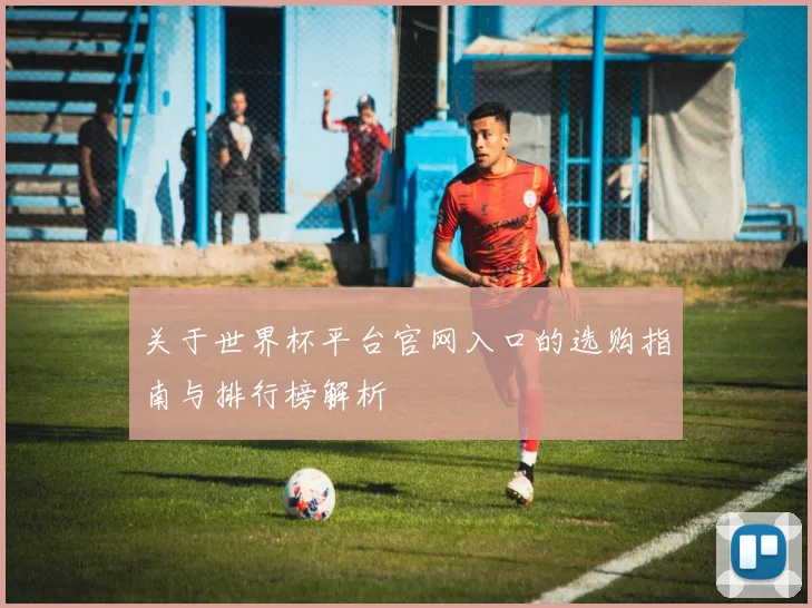关于世界杯平台官网入口的选购指南与排行榜解析